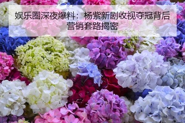 娱乐圈深夜爆料：杨紫新剧收视夺冠背后营销套路揭密
