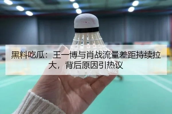 黑料吃瓜：王一博与肖战流量差距持续拉大，背后原因引热议
